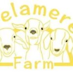 Delamere Farm