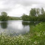 The Trout Lakes at Tolpuddle